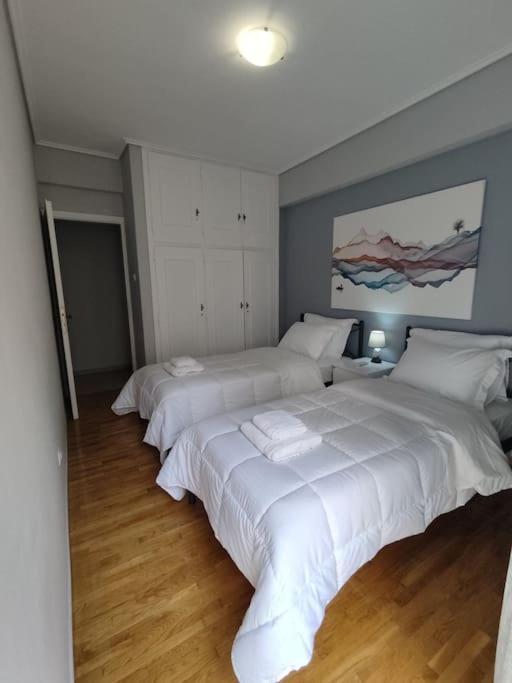 Apartment Quiet And Cozy Next To Acropolis Athens